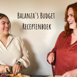 budget receptenboek